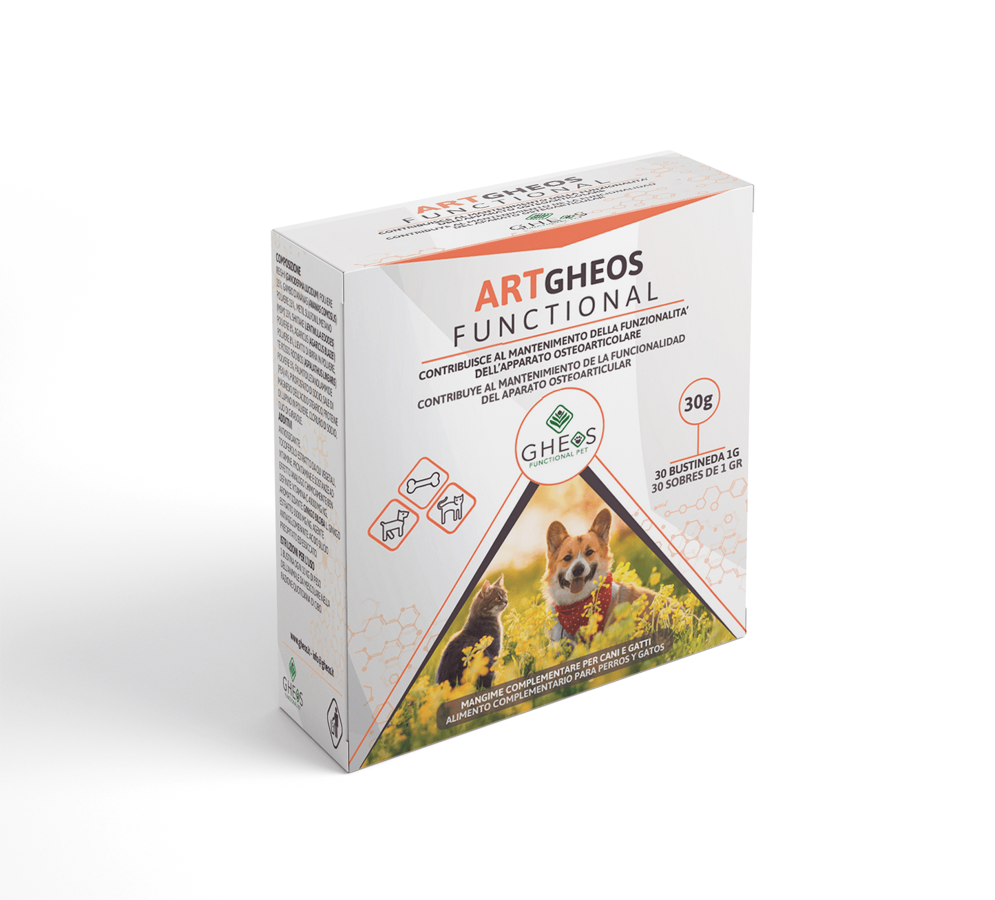 ARTGHEOS FUNCTIONAL (aparato osteoarticular)