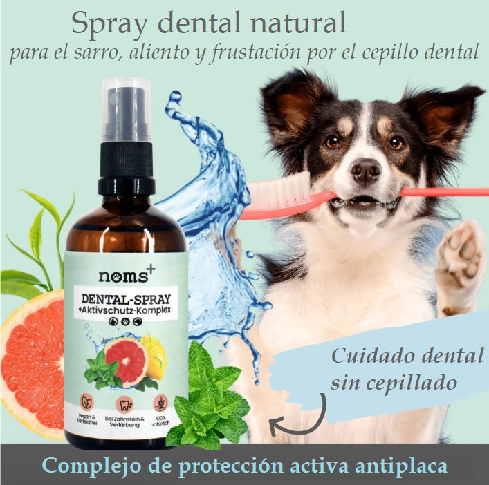 Spray dental 100% natural para perros y gatos