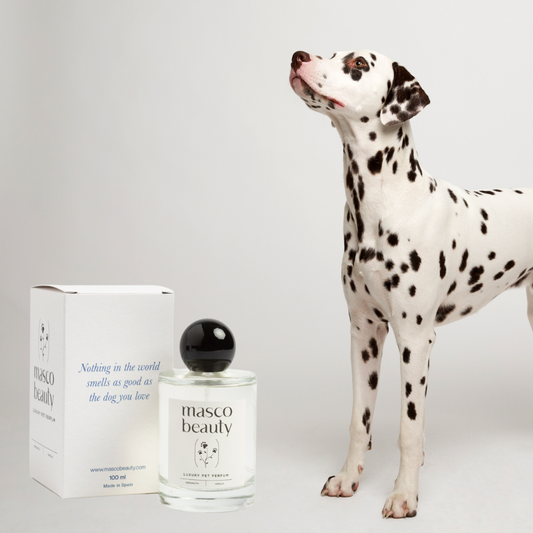 Perfume para Perros Bergamota y VainillaPerfume para Perros Bergamota y Vainilla - imagen secundaria