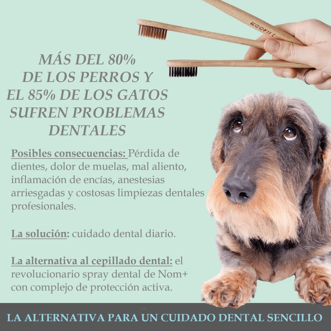 Spray dental 100% natural para perros y gatos