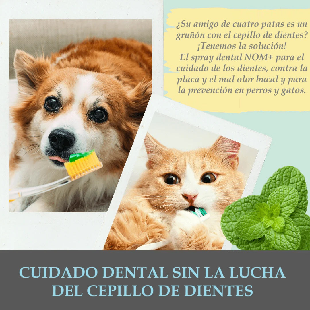 Spray dental 100% natural para perros y gatos