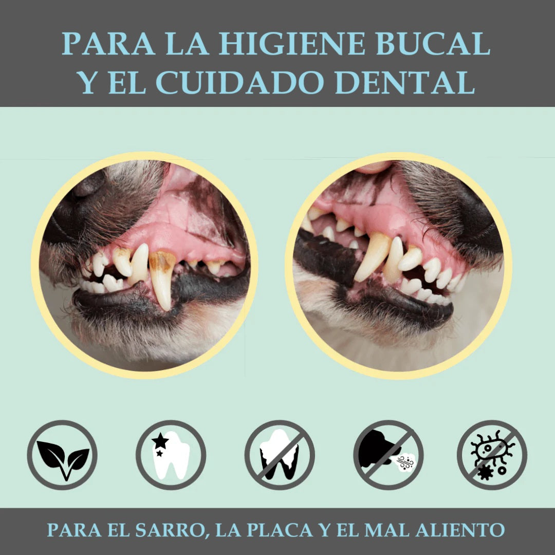 Spray dental 100% natural para perros y gatos