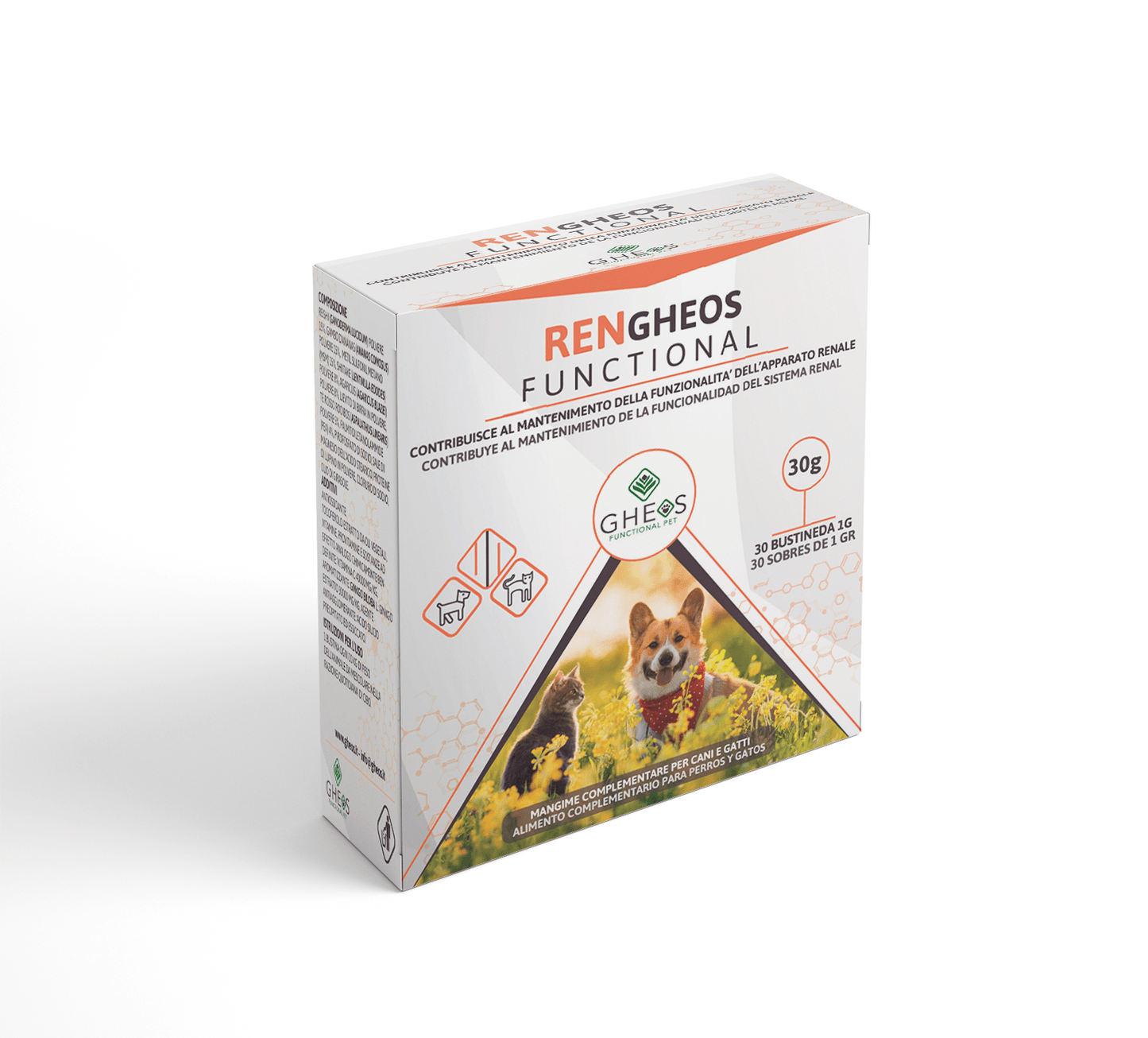 RENGHEOS FUNCTIONAL (Sistema renal)