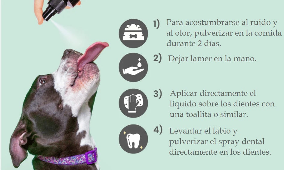 Spray dental 100% natural para perros y gatos