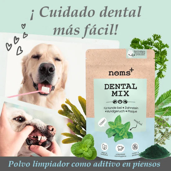 Dental mix: mezcla en polvo para el cuidado dental de los perros (150 gr)