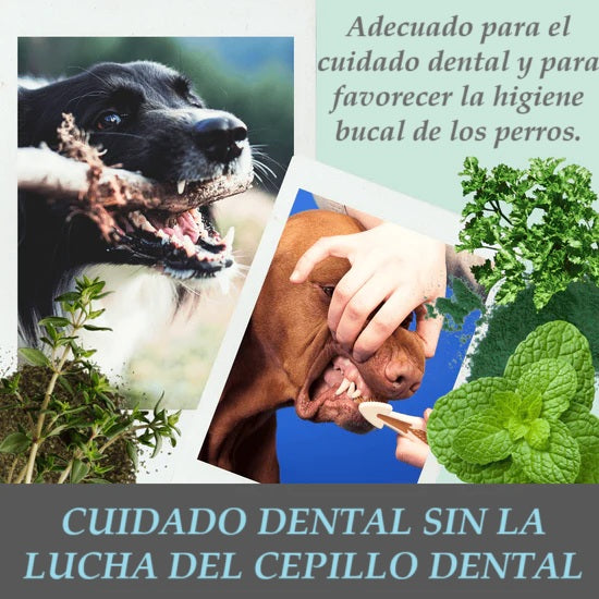 Dental mix: mezcla en polvo para el cuidado dental de los perros (150 gr)