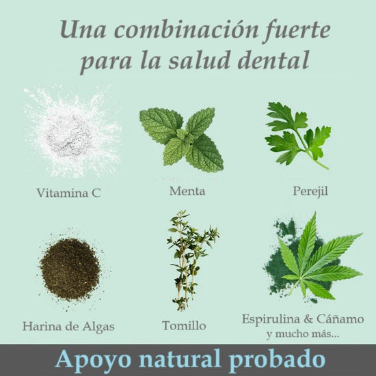 Dental mix: mezcla en polvo para el cuidado dental de los perros (150 gr)