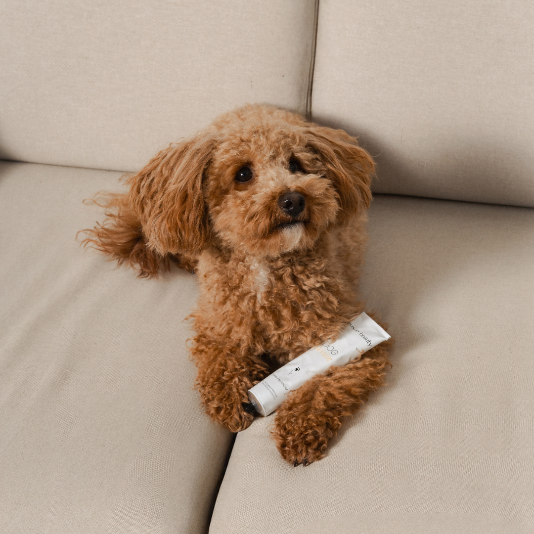 Crema dermatológica de almohadillas para perros