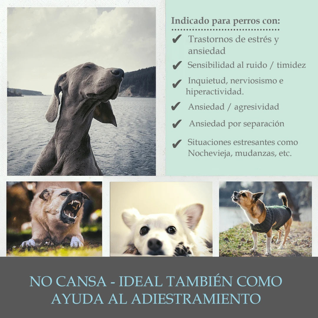 Calmante natural en forma de snak para perros