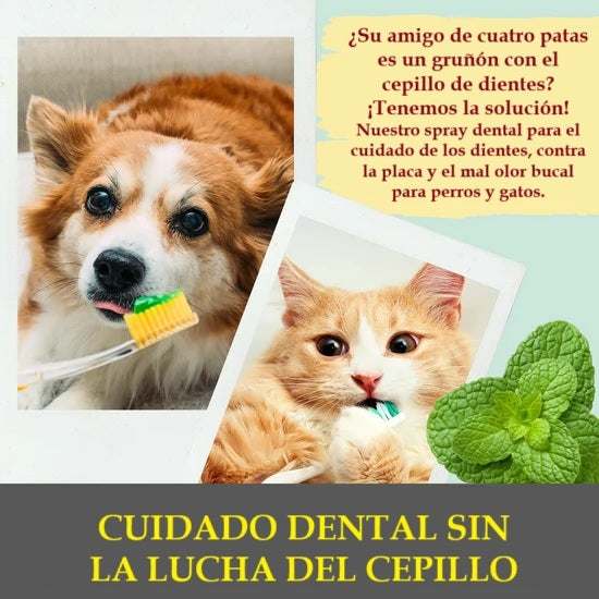 Spray dental 100% natural para perros y gatos