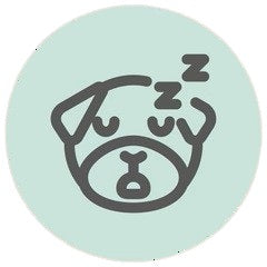 Description 2