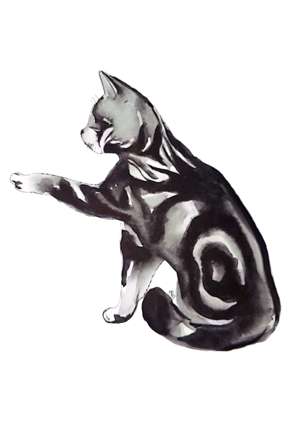 Productos Naturales - Gatos