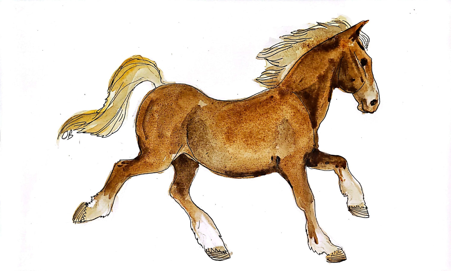Productos Naturales - Caballos