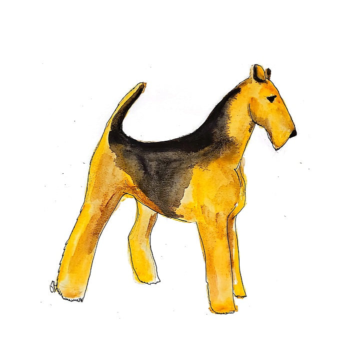 Productos Naturales - Perros