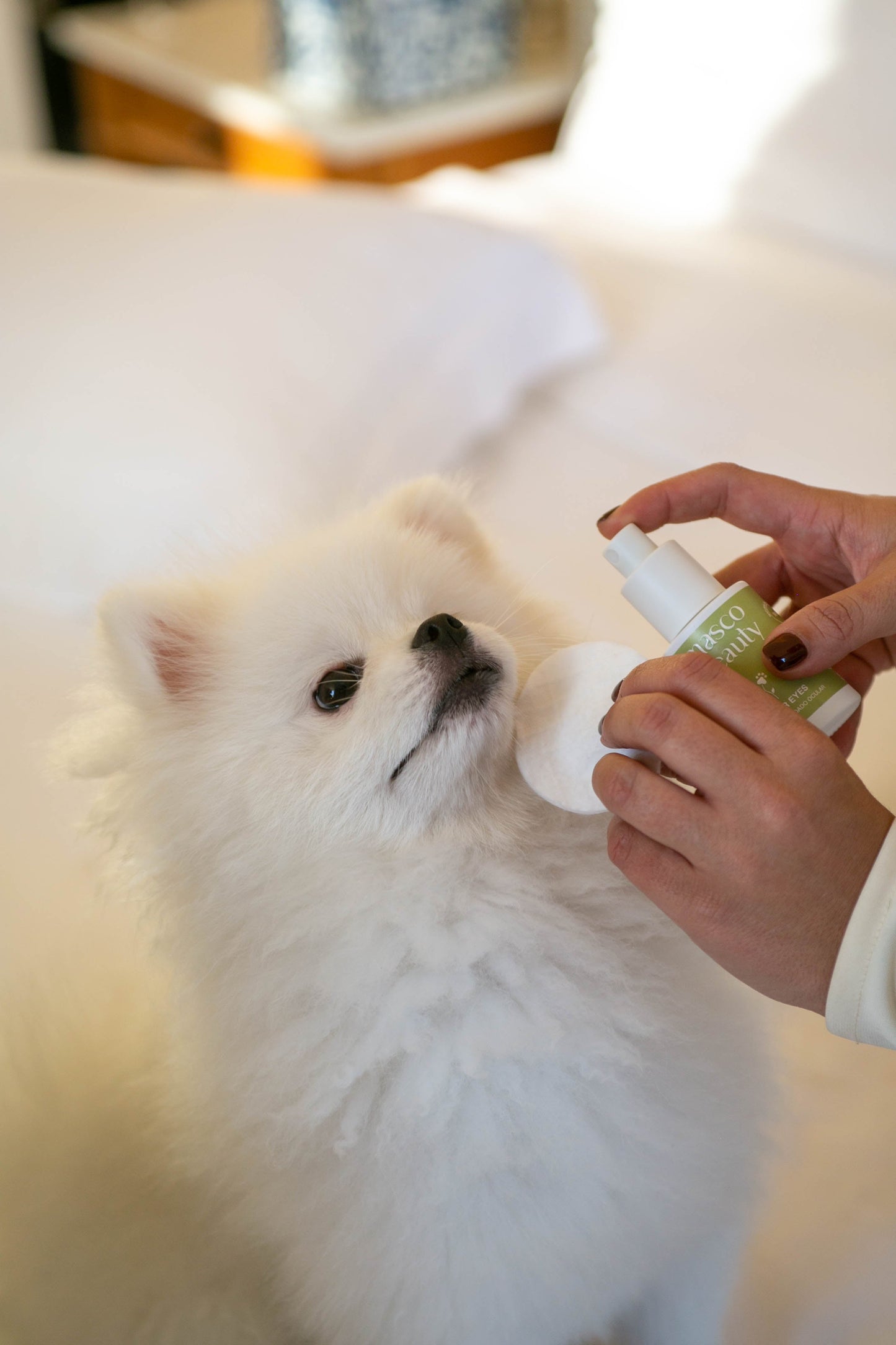 Limpiador de ojos para perros Masco Beauty 30ml