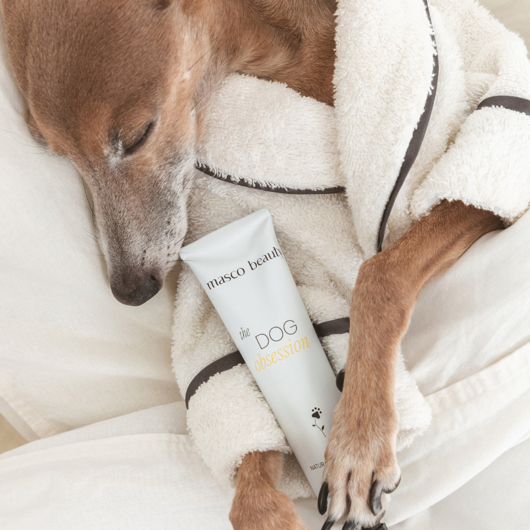Crema dermatológica de almohadillas para perros