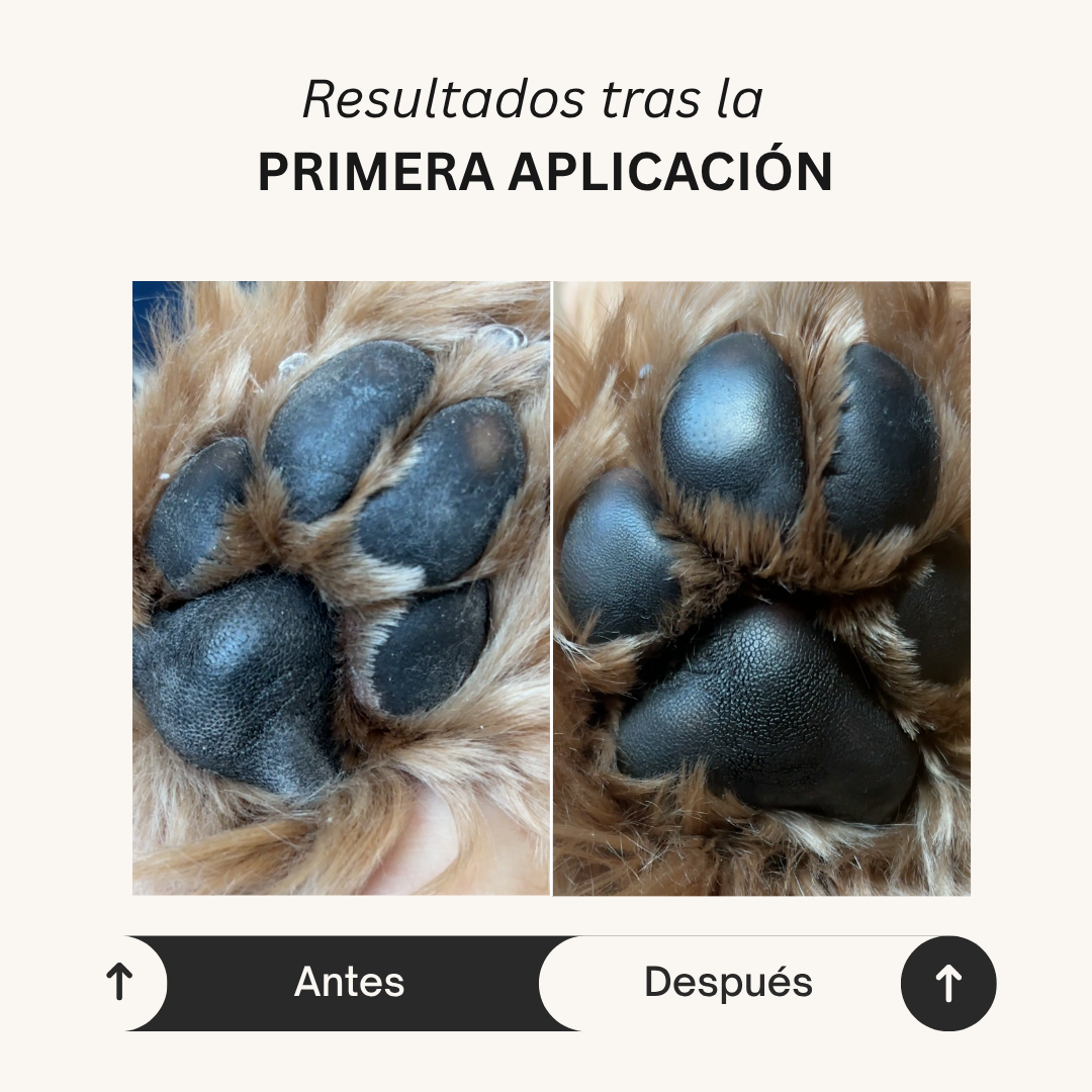 Crema dermatológica de almohadillas para perros