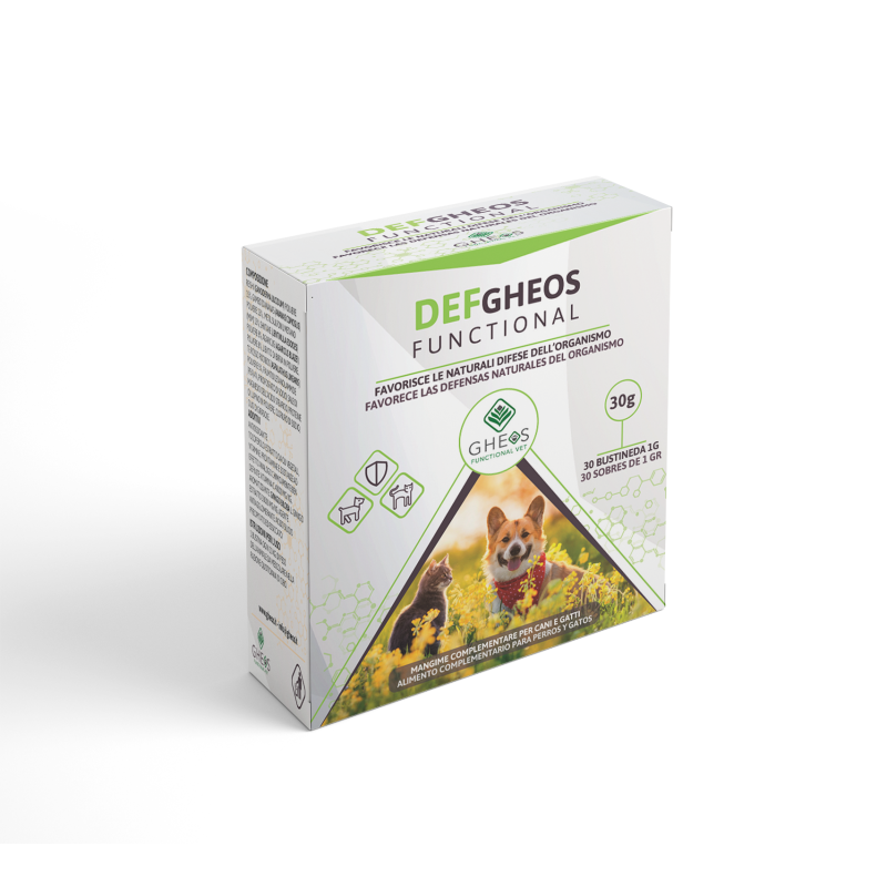DEFGHEOS Functional (defensas)