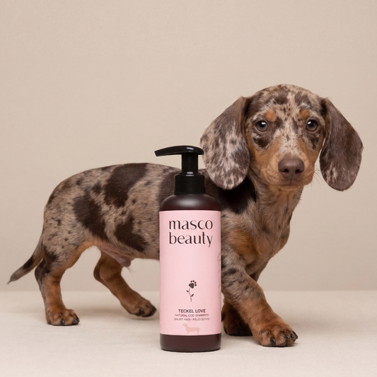 Champú para Teckel pelo corto de Jojoba y ManzanillaChampú para Teckel pelo corto de Jojoba y Manzanilla