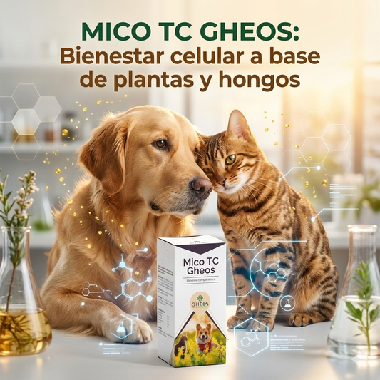 MICO TC GHEOS (Sistema inmunitario y prevención mutación oncológica) - 120 cápsulas 340 mg