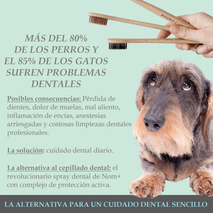 Spray dental 100% natural para perros y gatos