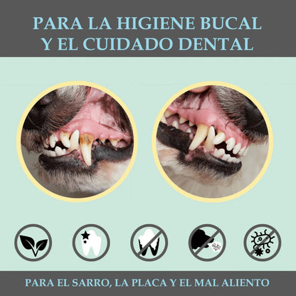 Spray dental 100% natural para perros y gatos