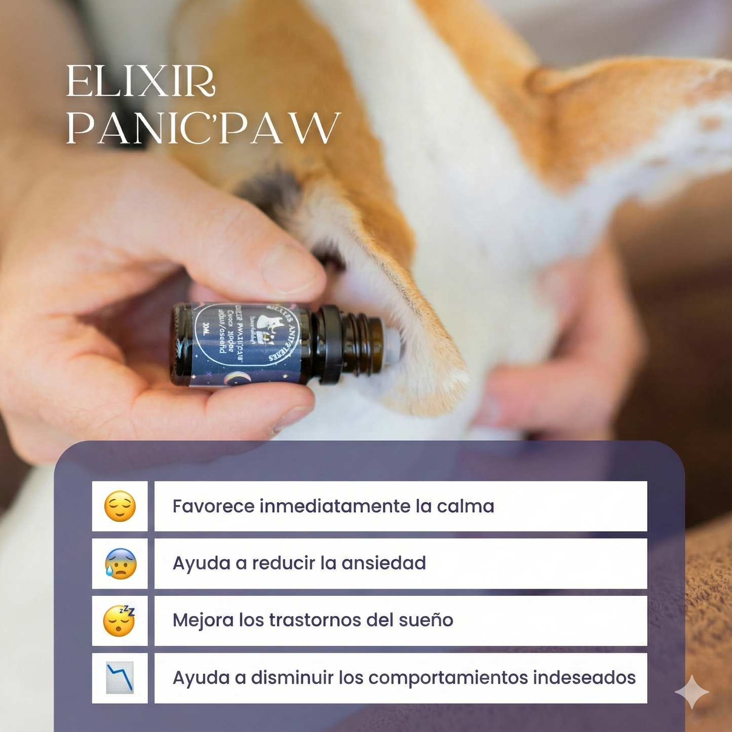 ROLL-ON ANTIESTRÉS PERRO Dexter and Mango