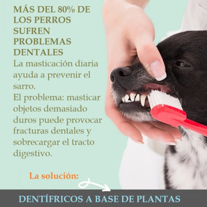 Spray dental 100% natural para perros y gatos