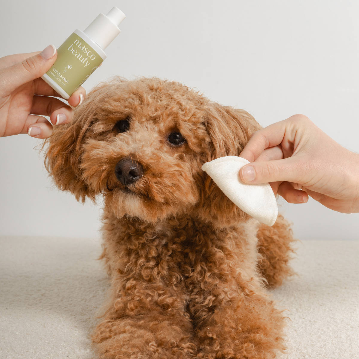 Limpiador de ojos para perros Masco Beauty 30ml