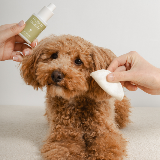 Limpiador de ojos para perros Masco Beauty 30mlLimpiador de ojos para perros Masco Beauty 30ml - imagen secundaria