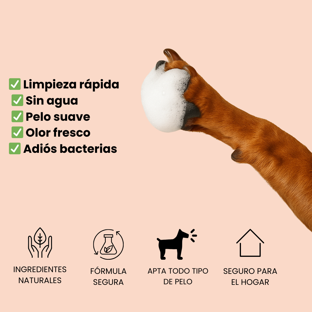 Champú seco para perros: limpia y elimina el mal olor en segundos sin aclarado