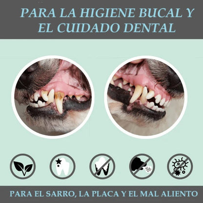 Dental mix: mezcla en polvo para el cuidado dental de los perros (150 gr)