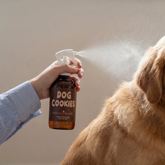 Perfume para Perros Aroma Galleta & CroissantPerfume para Perros Aroma Galleta & Croissant - imagen secundaria