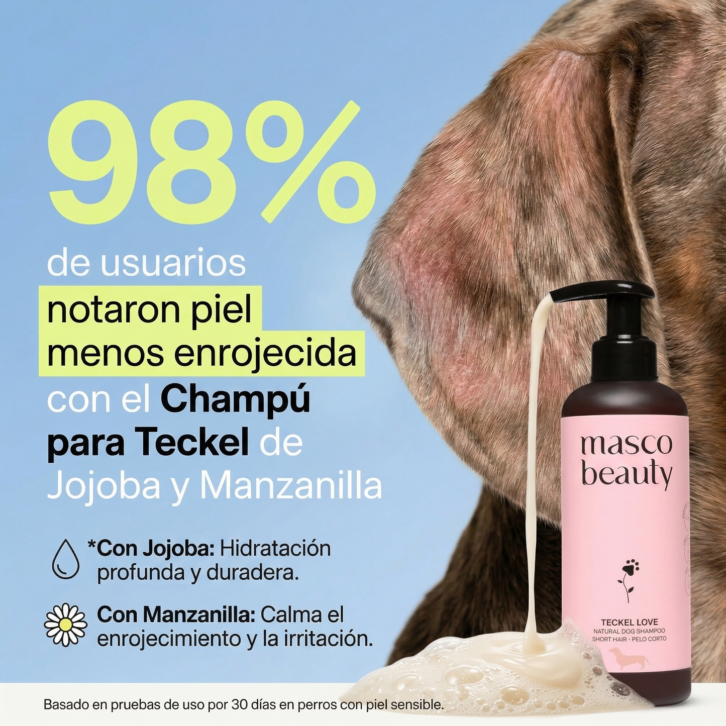 Champú para Teckel pelo corto de Jojoba y Manzanilla