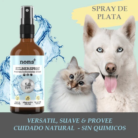 Spray de plata coloidal para la piel de perros y gatos