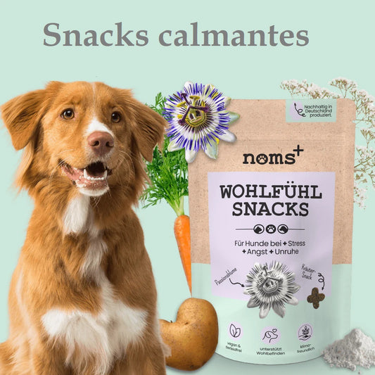 Calmante natural en forma de snak para perros